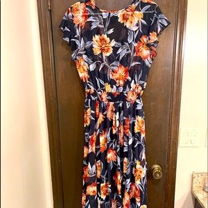 Alexa B dress size 14P